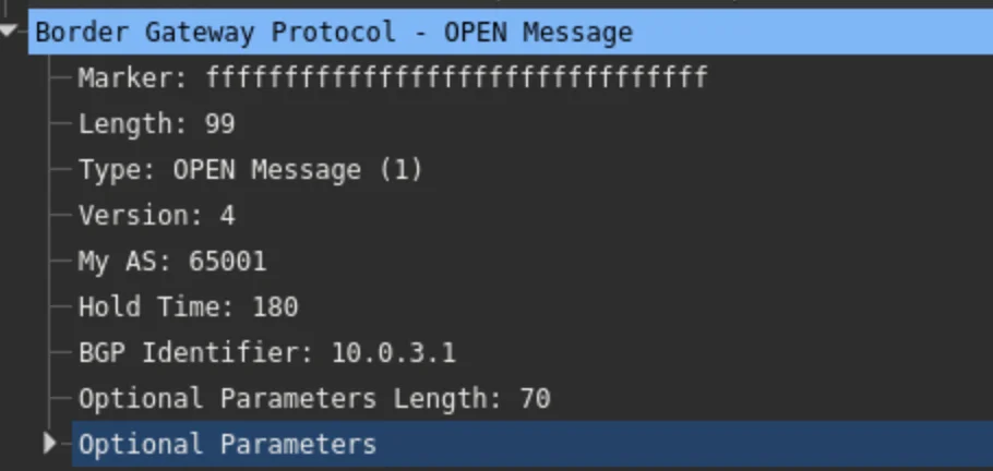 BGP OPEN — AS65001 (R3)