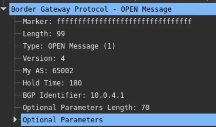 BGP OPEN — AS65002 (R4)