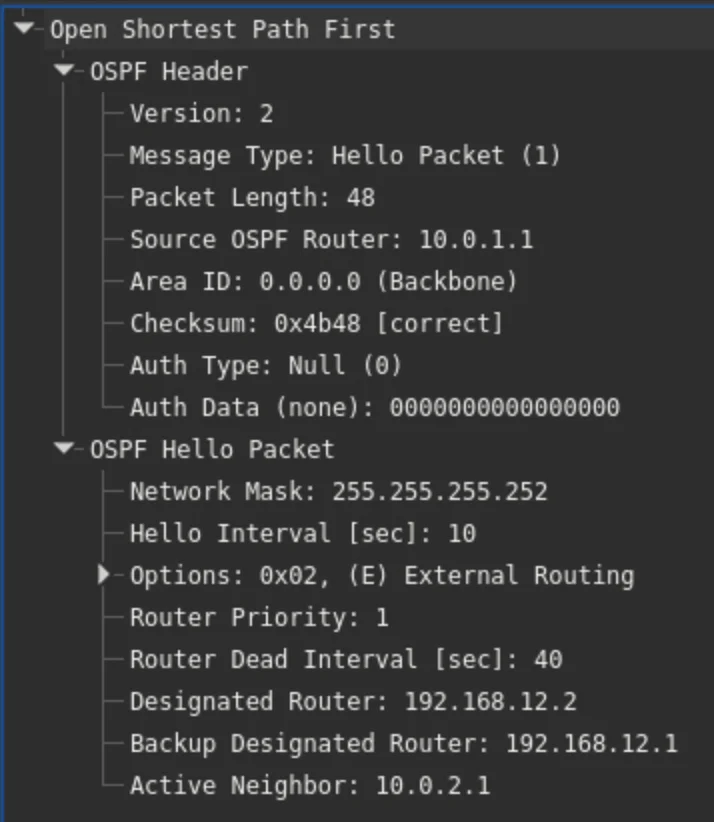 OSPF 인접 관계 수립 — DB Description, LS Request, LS Update