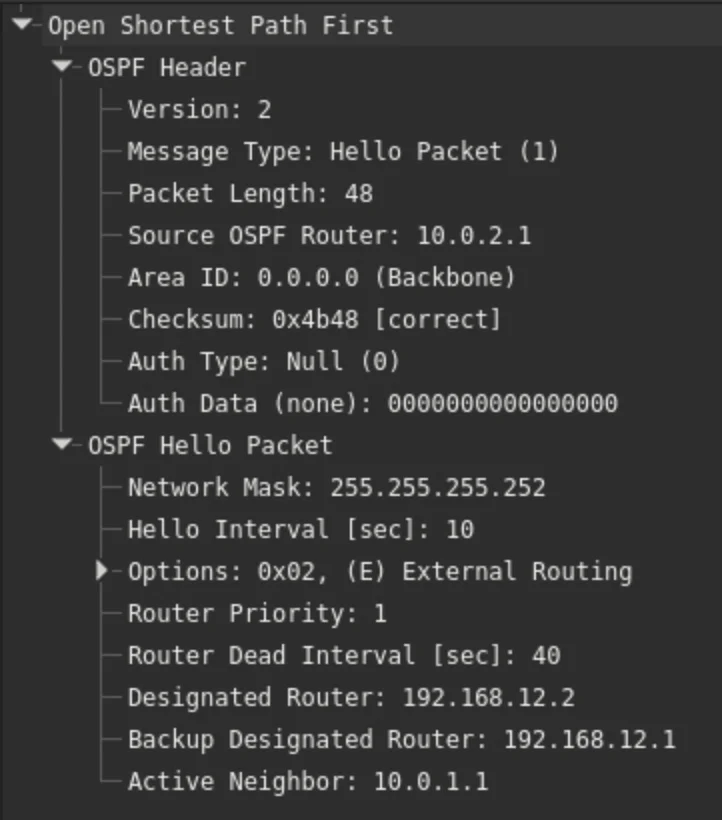 LS Update — Router-LSA, Network-LSA
