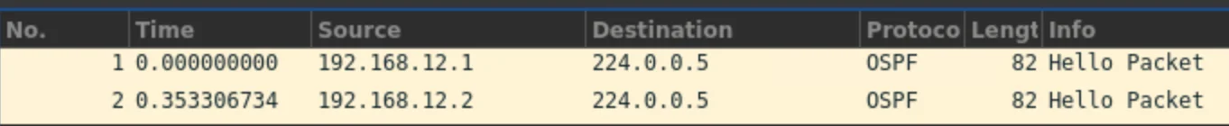 OSPF Hello 패킷